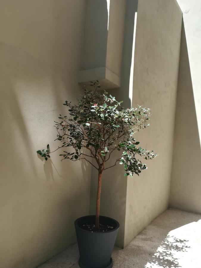 Amaoporto - Se Apartment Екстериор снимка